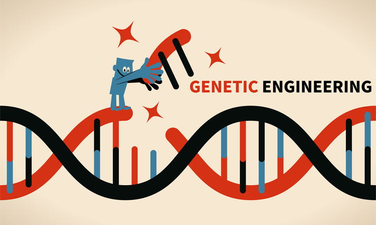 Picture of colorful blue, red, and black DNA strand that reads "Genetic Engineering".
